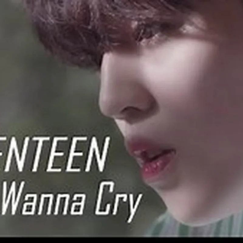 Don't Wanna Cry (울고 싶지 않아)-SEVENTEEN (세븐틴)钢琴曲钢琴版钢琴谱五线谱钢琴谱网| ninept钢琴谱网|钢琴谱|ninept|钢琴谱|简谱|钢琴教程|钢琴软件|五线谱|钢琴网|曲谱网|ninept钢琴| ninept.com|钢琴软件|音乐软件ninept钢琴